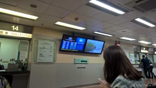 как получить гражданство чехии в 2019 году и остаться в стране на пмж