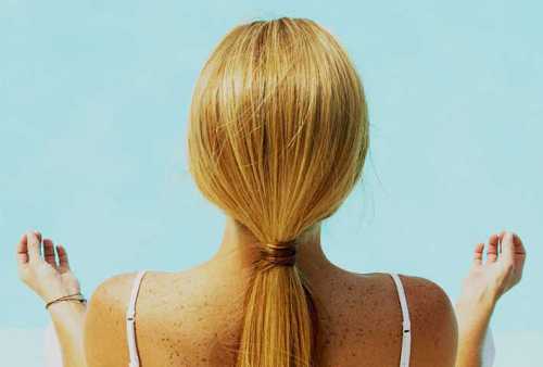 не отвлекайте меня, пожалуйста стив павлина