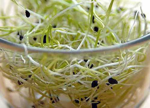 как замачивать рис