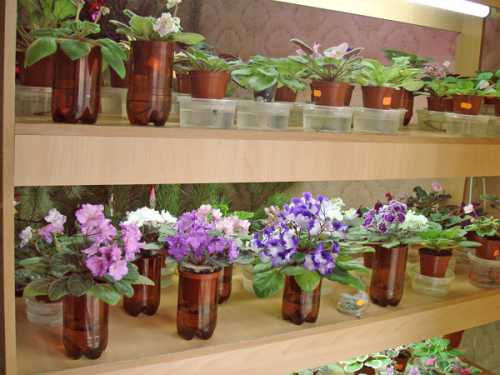 как ухаживать за кожей зимой