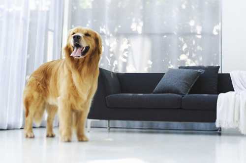 как совместить любимое хобби и открытие бизнеса с минимальными вложениями