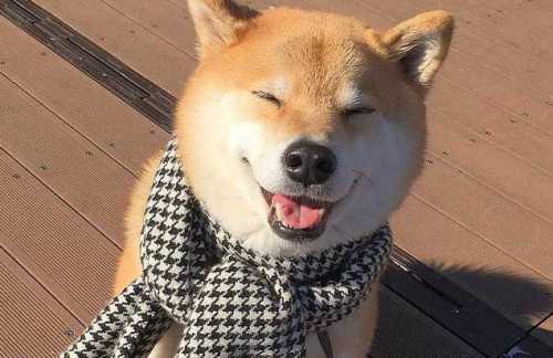 скрайбинг с reforum–2016: ценные мысли о лидерстве, управлении и личной трансформации