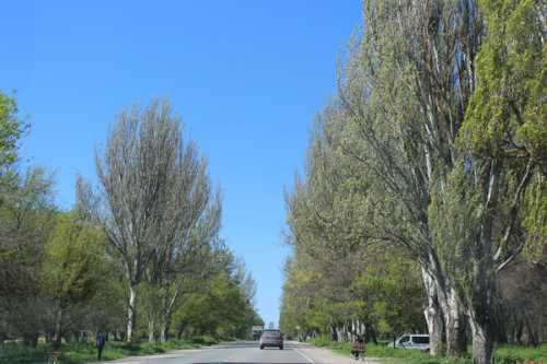 отдых с детьми самостоятельнорождество в лондоне – традиции и подарки