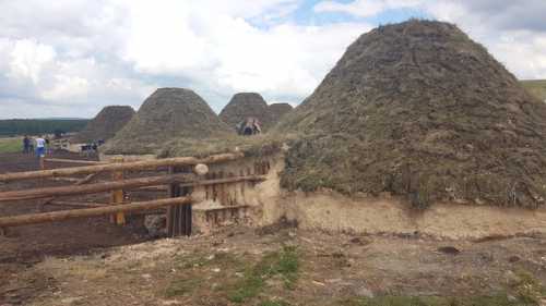 хроника полифазного сна