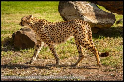 достопримечательности костромы фото с описанием